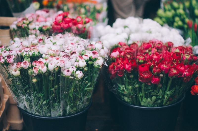 fleuriste-VERIGNON-min_farmers-market-1209712